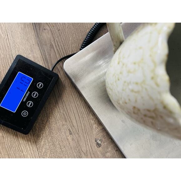 Vintage Stoneware 7” Pitcher Cream Brown Morton ? Pottery Vase Home Decor - Picture 13 of 13